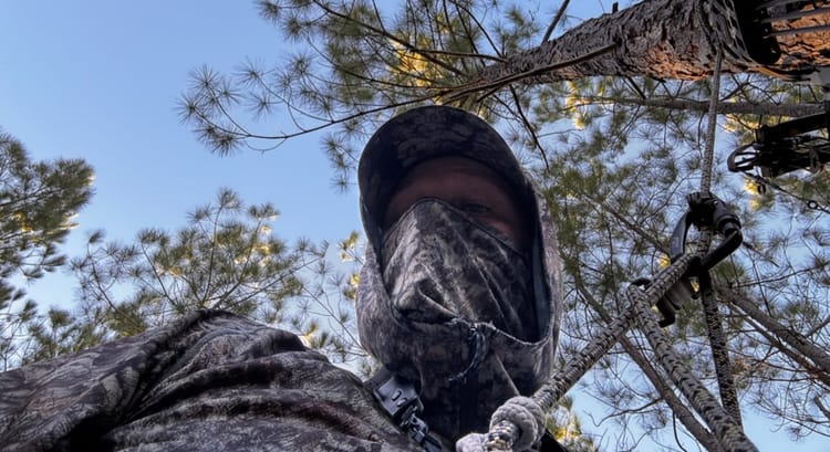 I Thought It Was Over. Then I Climbed That Tree.