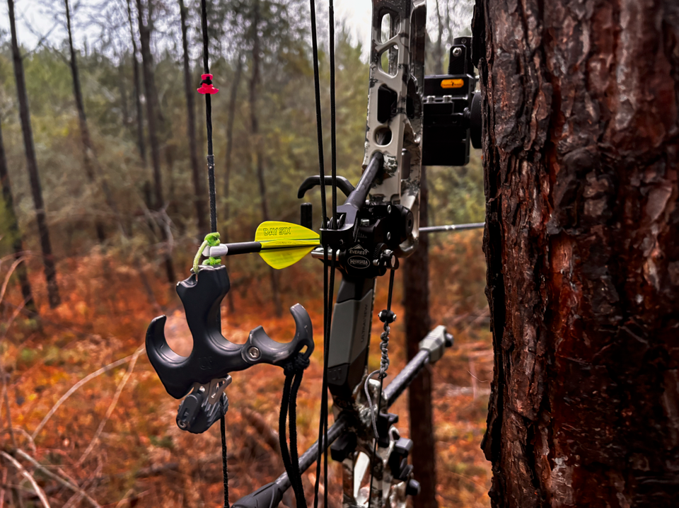 Your Window Is Measured in Seasons